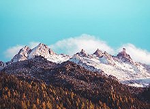 开云-leyu：点亮日常的轻奢之选